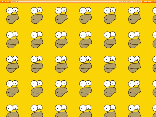 homer screenshot