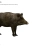 The web site of viralhog avatar