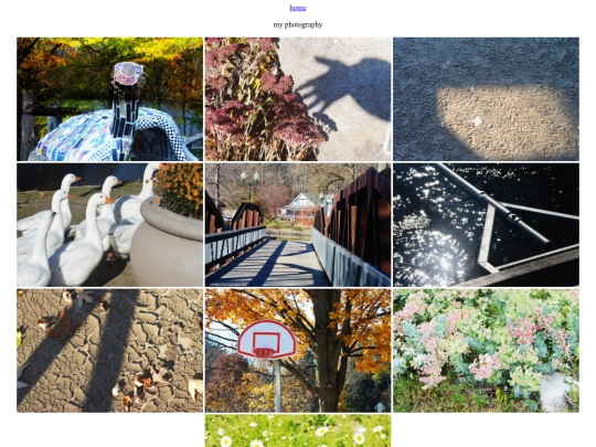 photography screenshot