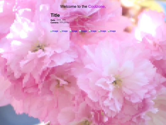 photos/template screenshot