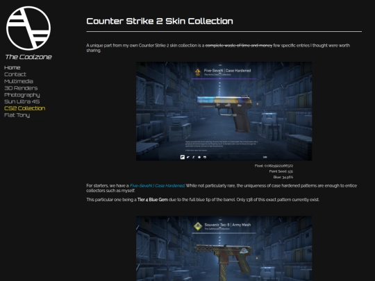 secret/cv/cs2skins screenshot