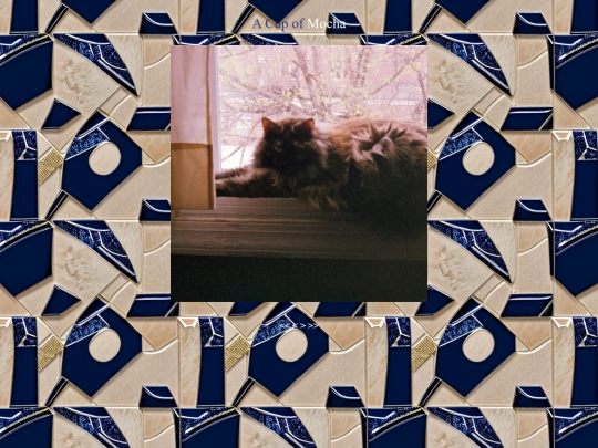 secret/pets/mocha/2 screenshot