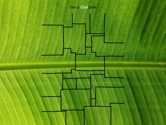 secret/puzzle screenshot