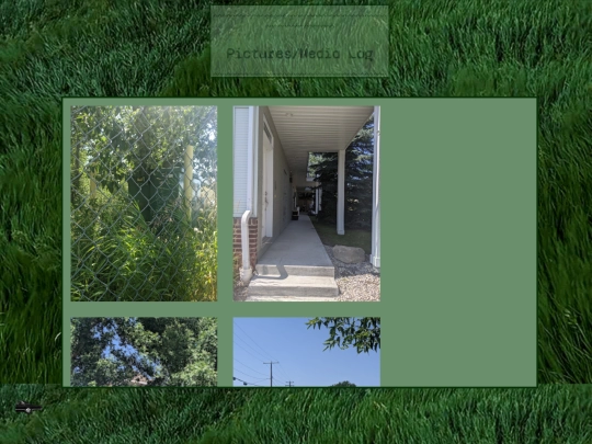 picmedialog screenshot
