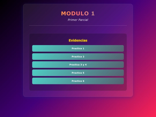 modulo_1 screenshot