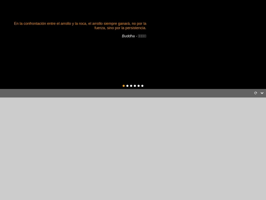 citas_localStorage screenshot