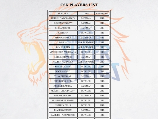 CSK screenshot