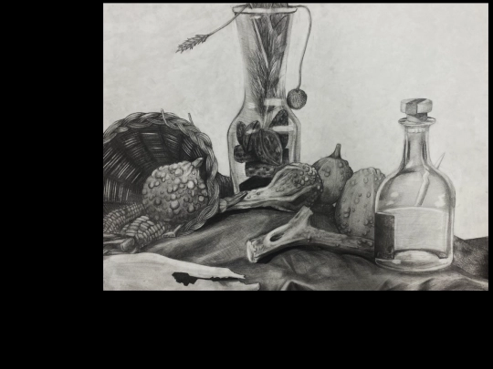 ArtFullScreen/StillLife1 screenshot