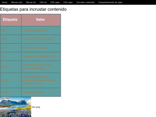 P06_incrust_contenido screenshot