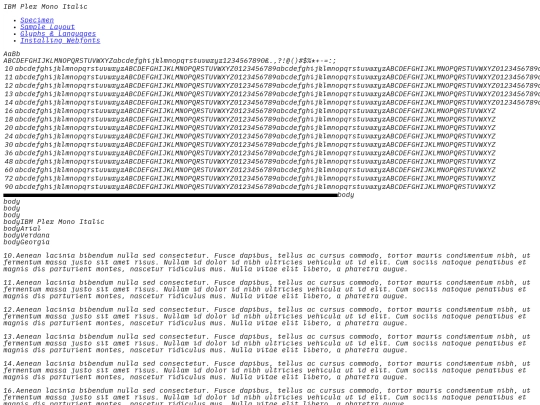Web embedded/ibmplexmono-italic-demo screenshot