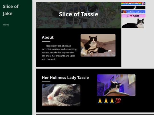 tassie screenshot