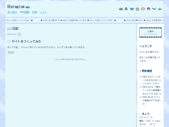 diary screenshot