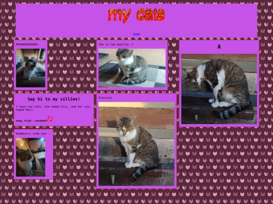 cats screenshot