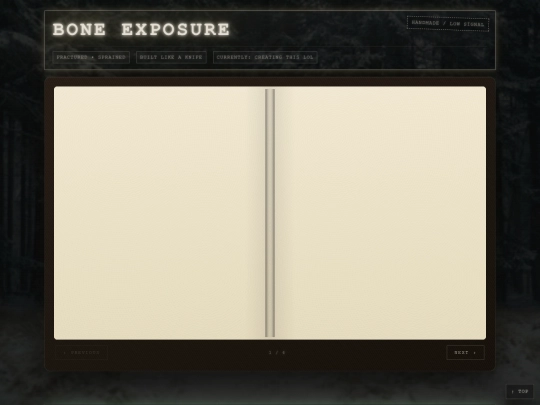 index (1) screenshot