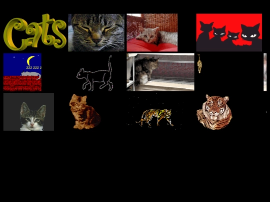cats screenshot