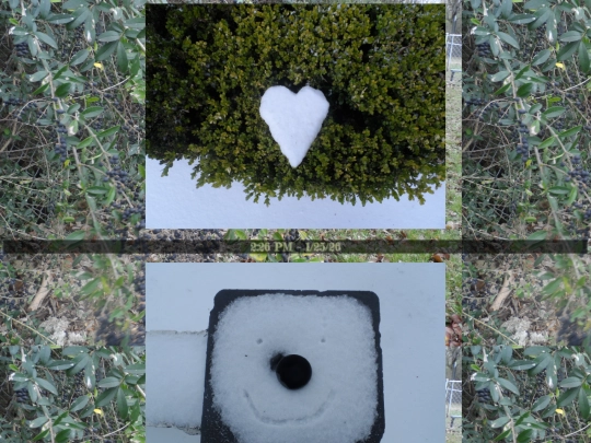 MorePhotos screenshot