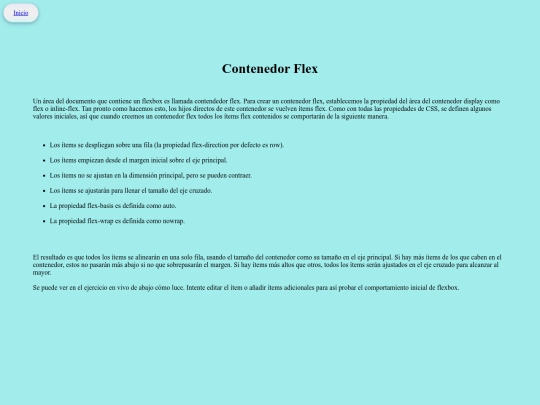 FLEXBOX/contenedor screenshot