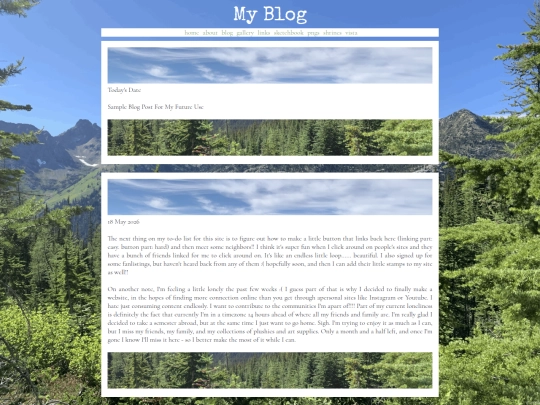 blog screenshot