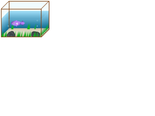 aquarium/aquarium screenshot