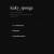 leaky_sponge avatar