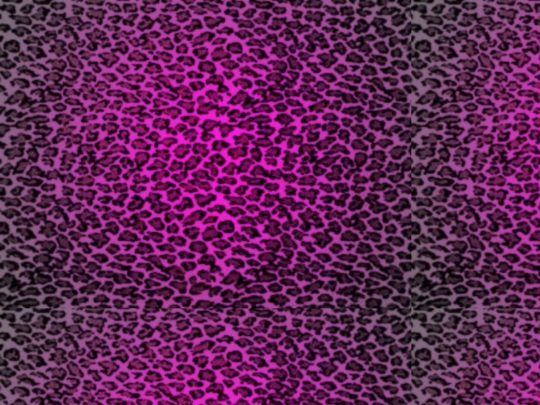 firstsite screenshot