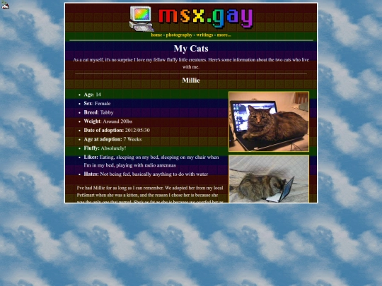 cats screenshot