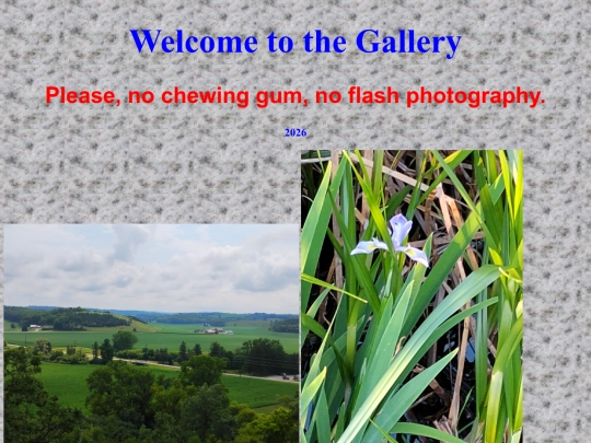 gallery/gallery screenshot