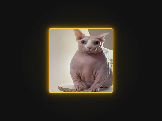 prototypeImageViewer screenshot