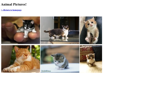 Animalpictures screenshot