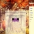 forgottenrainynights.yorniq.xyz avatar