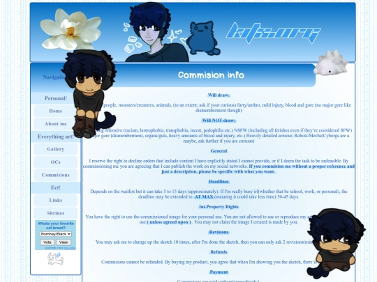 com screenshot