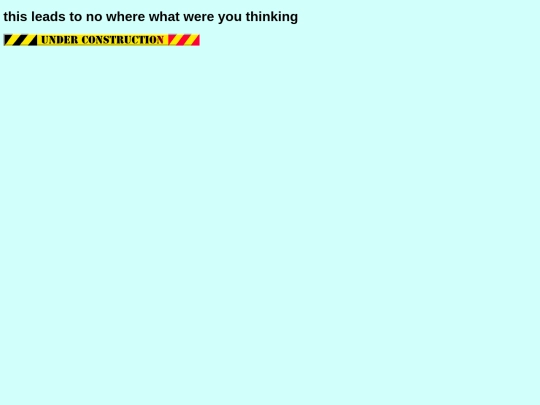 thisleadstonowherewhatwereyouthinking screenshot