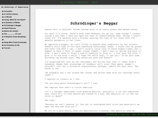 SchrodingersBeggar screenshot