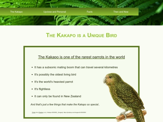 Kakapo Society screenshot