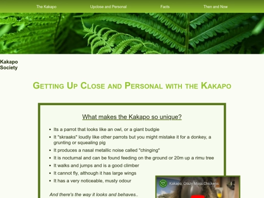 Kakapo Society/upclose screenshot
