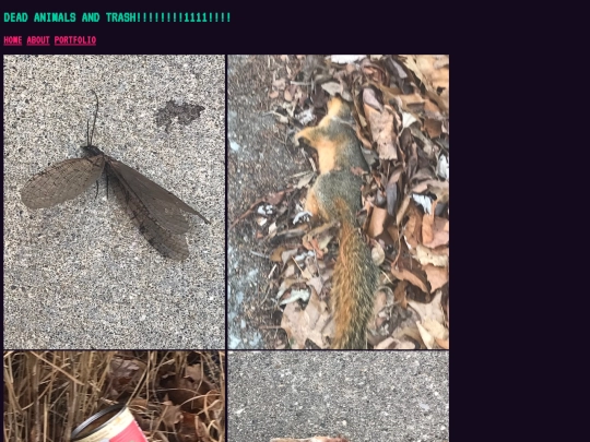 deadanimalsandtrash screenshot