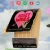 joseywails.yorniq.xyz avatar