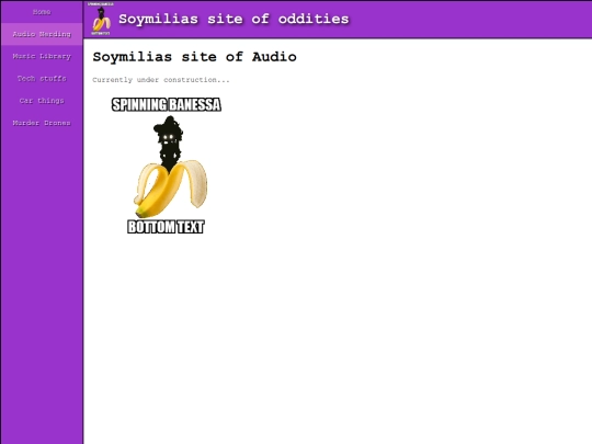 audio screenshot