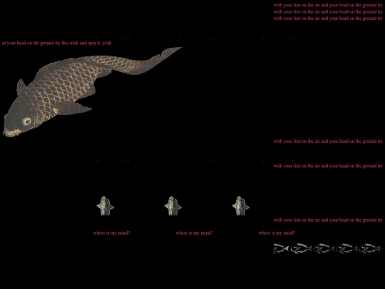 installation screenshot