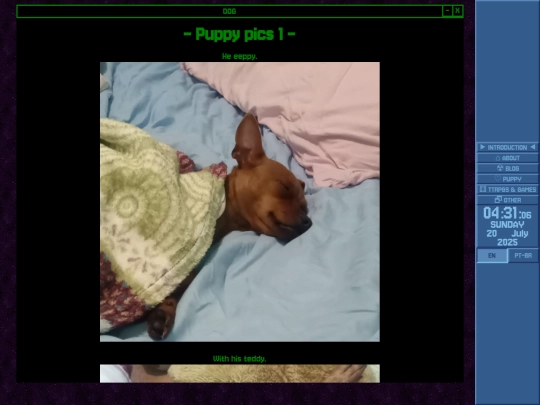 dogpics/dogpics1 screenshot