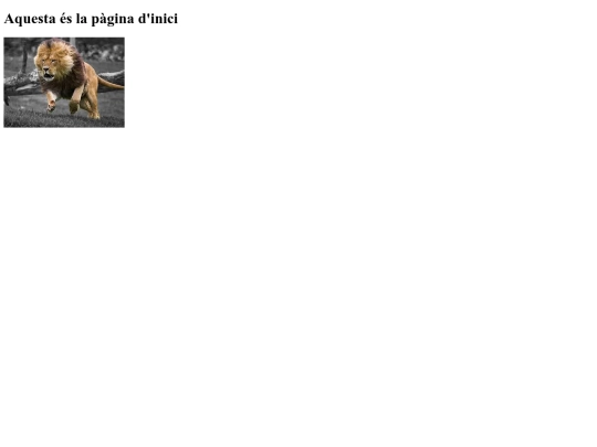 na6_uf5/inici screenshot