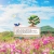 sunera-sae.yorniq.xyz avatar
