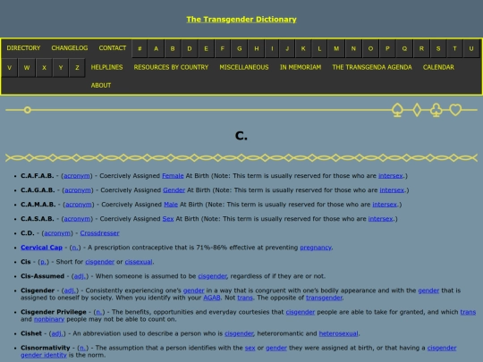 c screenshot