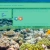 the-underwater-museum.yorniq.xyz avatar