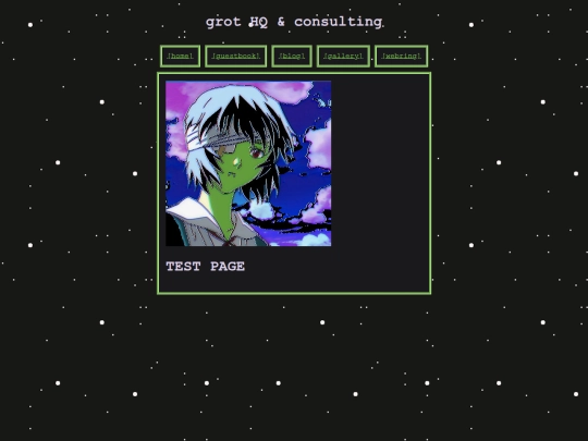 page screenshot