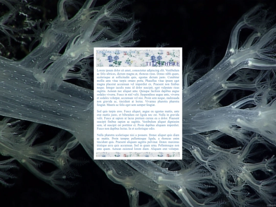 layouts/repth theme 22 screenshot