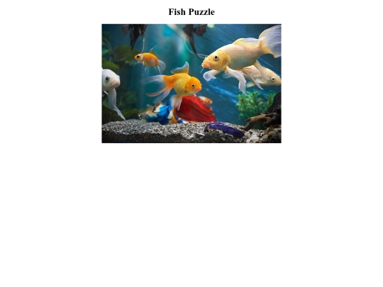 fishpuzzle screenshot