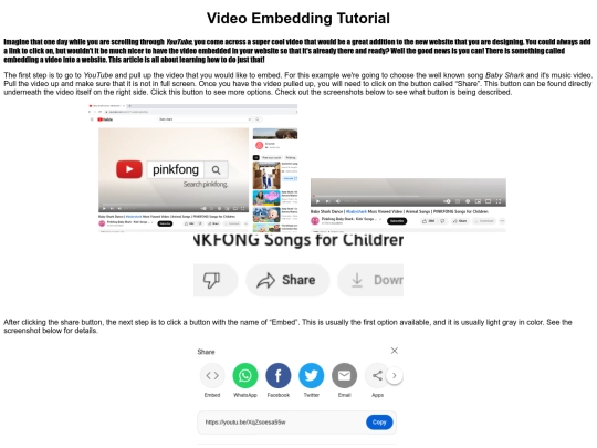 video screenshot