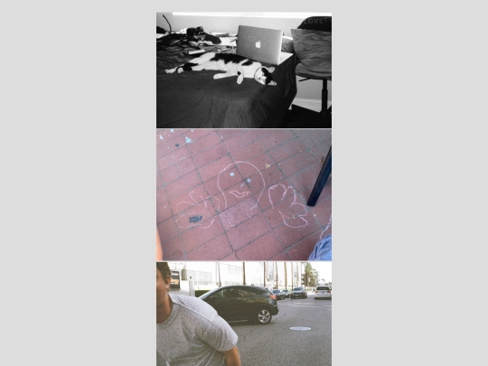 photos screenshot