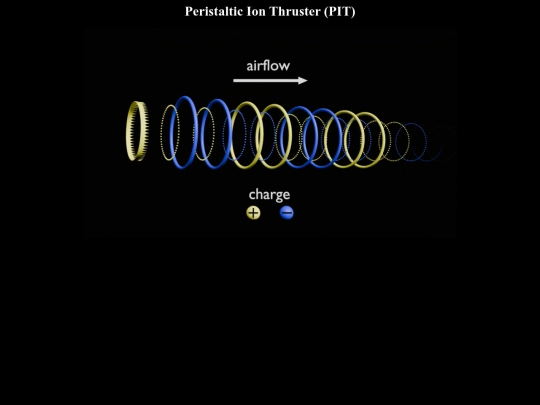 PIT screenshot